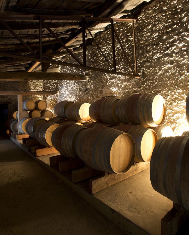 Maison Le Sepe - Vignoble Bio Et Maison D'Hotes Sainte-Radegonde  Exteriör bild